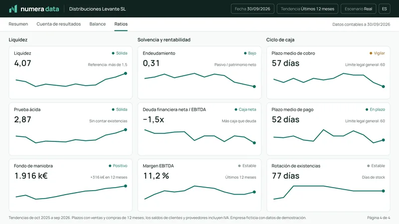Página Ratios con nueve indicadores y su tendencia.